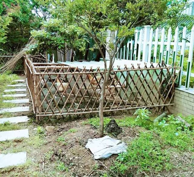 现在,计卫龙家的庭院还养起了鸡鸭,在一方庭院里,这个用竹篱笆围起来