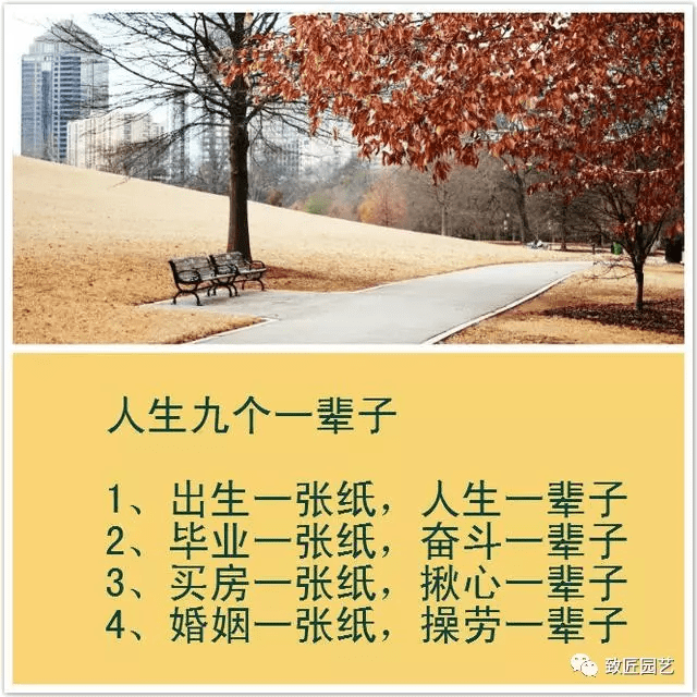 九不要,九不交,九不過,九個一輩子,十五最-文化頻道-手機搜狐