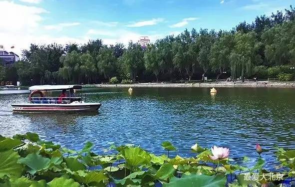 此外,來青年湖公園還可以 玩轉水上世界