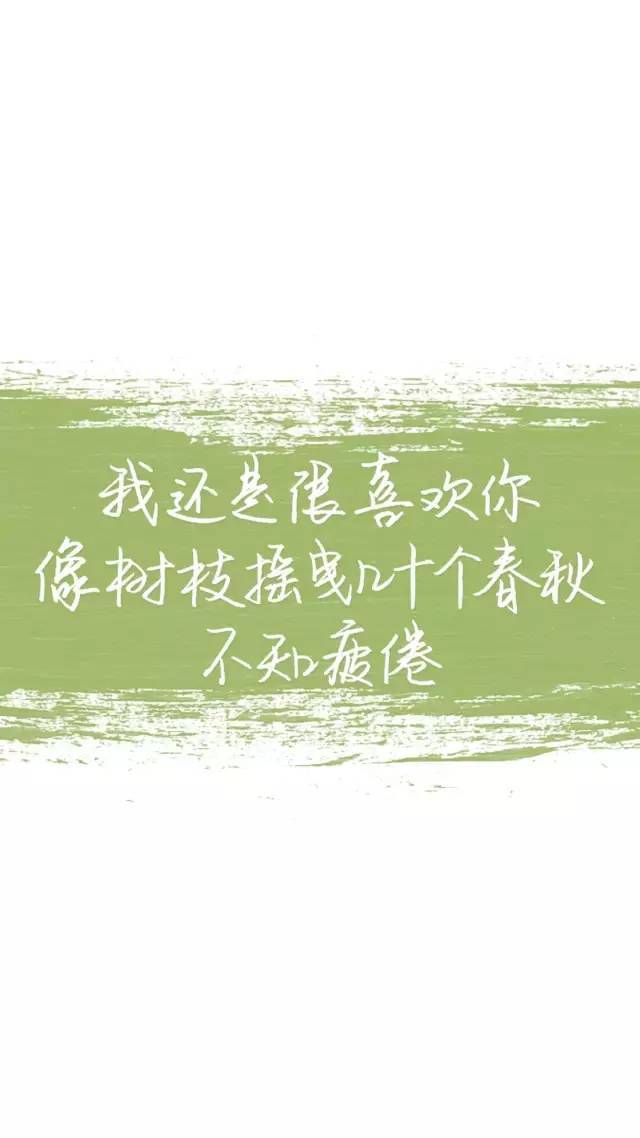 【文字控】我还是很喜欢你~手机背景图