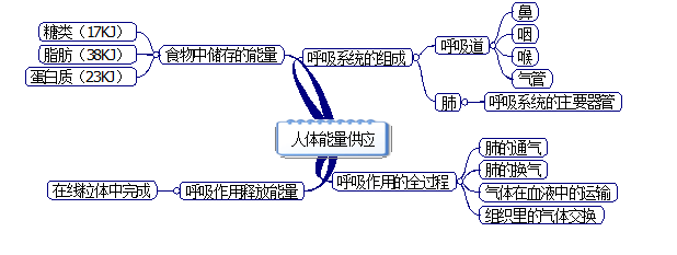 人体呼吸全过程示意图图片