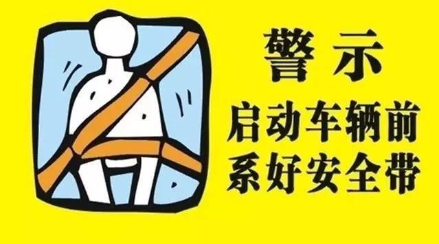 今日起,南宁后排乘客不系安全带也将被处罚!