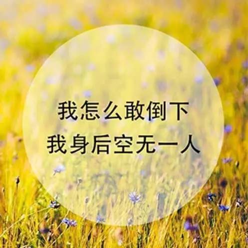 这让宇恒君想起常看到的一句话: 我不敢倒下,因为身后空无一人