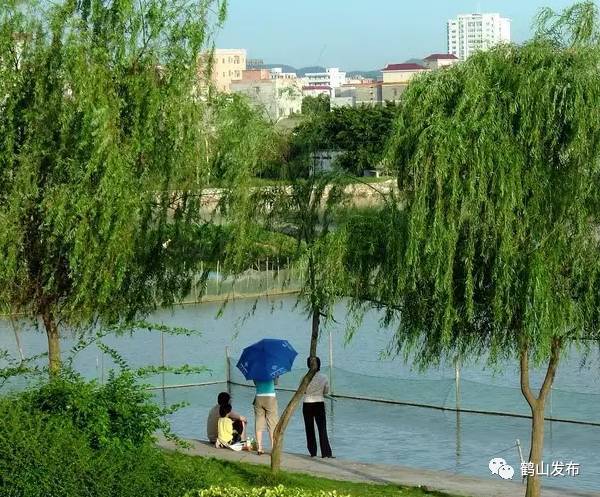 加大宣傳力度,在城區主要出入口增設宣傳噴畫 ▲城市綠肺鶴山公園