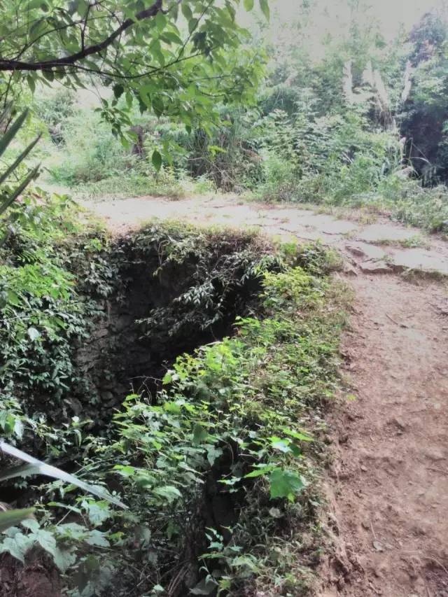 水江这个山沟沟里藏了一片福地,侯赛银!