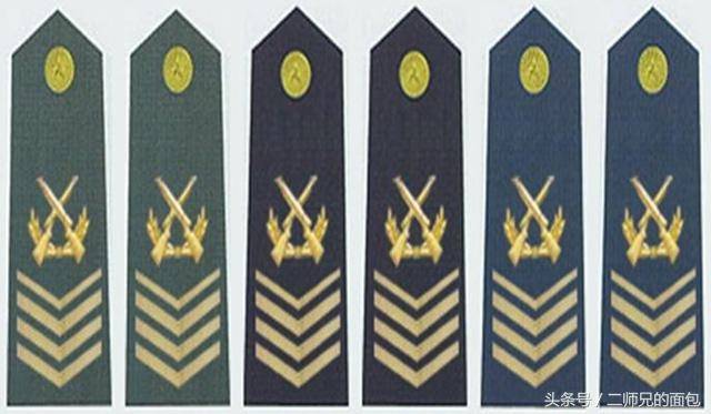 有的国家还将军士长区分为若干等级,如美国的军士长包括一级军士长
