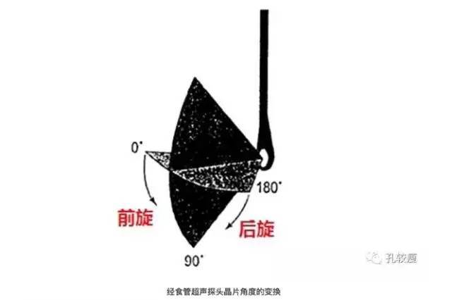 为便于掌握,多数学者倾向于将超声切面分为食管上段切面,食管中段切面