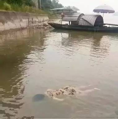 夏季游泳安全不容忽视!