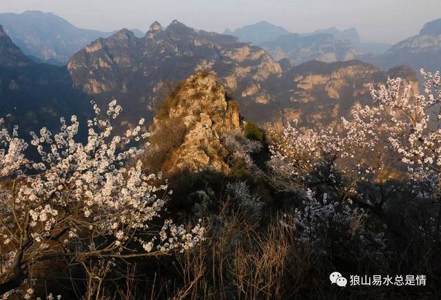 易县奇峰岭位置图片