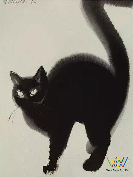 毕加索笔下的猫图片
