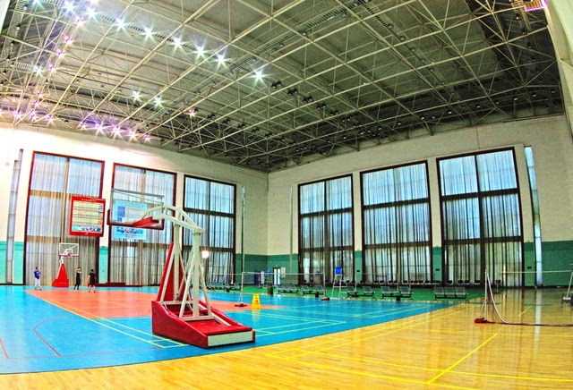 临邑县篮球馆图片