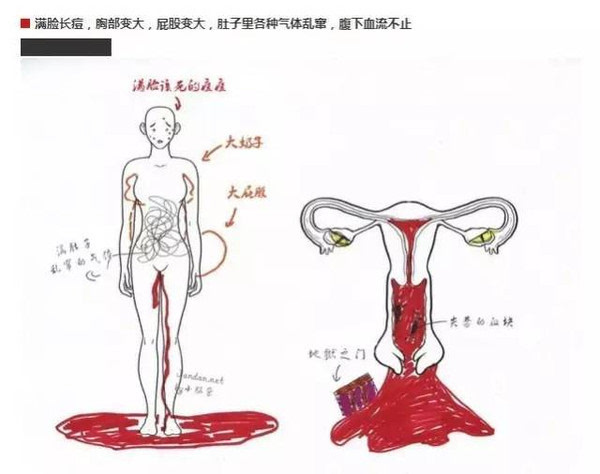 月经流血部位图解图片