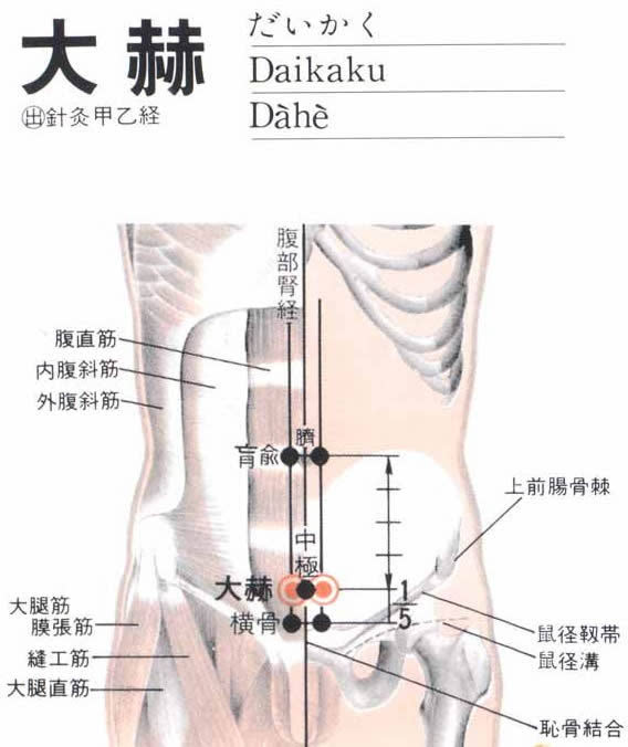 女人性保健的五个大穴