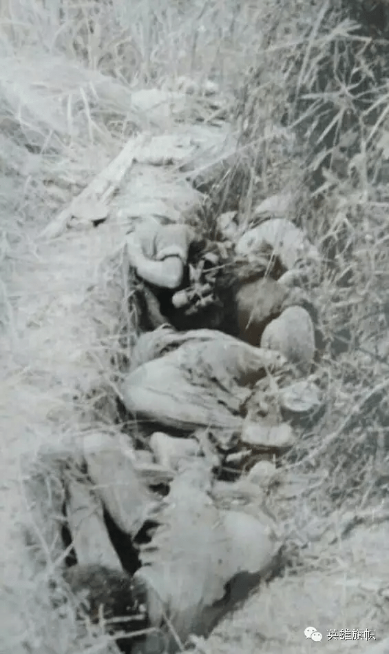 老山前线摄影师私存战地照:越军尸体堆积如山