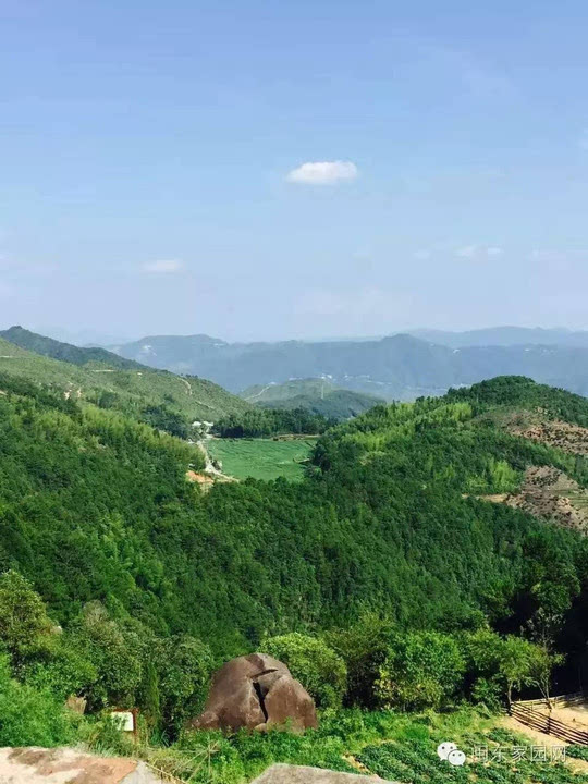 寿宁南山顶风景区图片图片