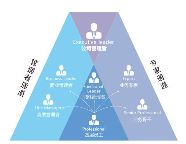 松山湖基地 美国研究所 职业发展体系 华为为员工提供了双通道发展