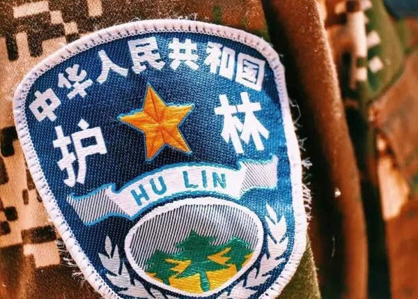 林业护林员发警服图片