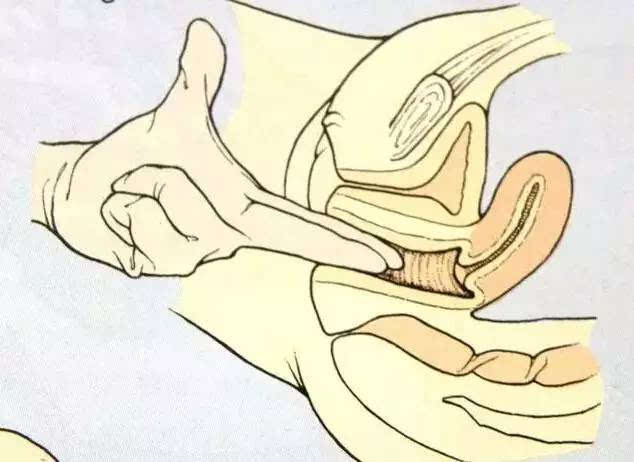 造娃的动作图片