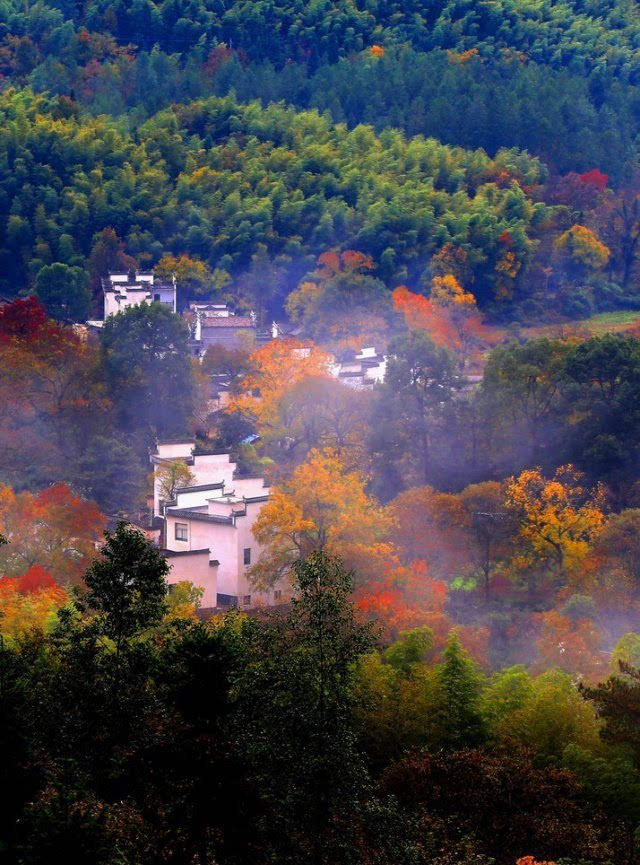 中国十大最美秋色图片