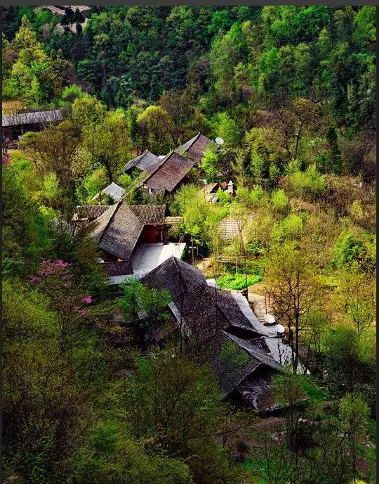 庙前镇沙河村,玉泉办事处百宝寨村 枝江市(4 百里洲镇沿江村,百里洲