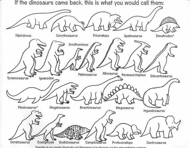 恐龙进化过程图简笔画图片