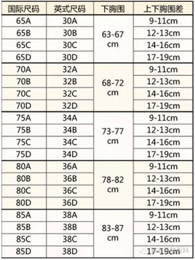 文胸尺码对照表一览