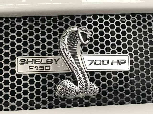 shelby(谢尔比) f