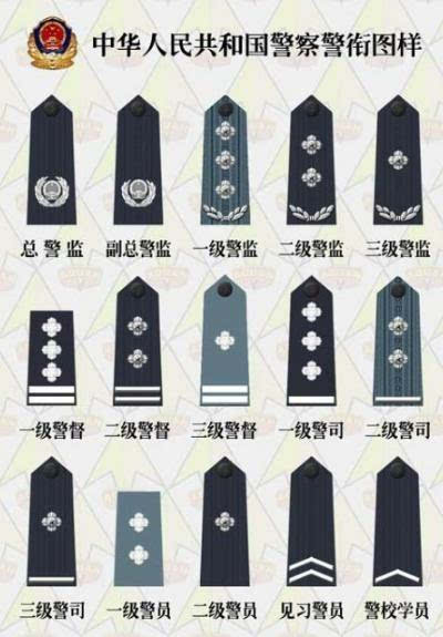 公安部部长,总警监)的形象,着装就是一级警监,警衔标志为缀钉三枚四角