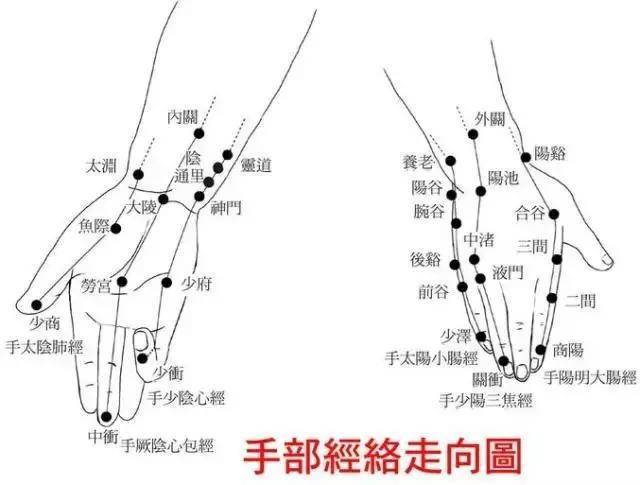 手三阳经的走向规律图图片