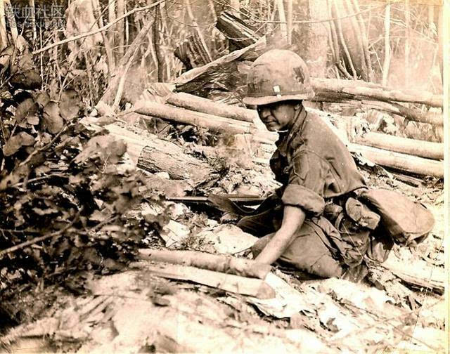 越共战术图片