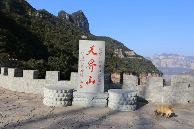 回龙天界山隐匿在太行深处,景区内奇山异水,景色宜人,空气清新,囊括