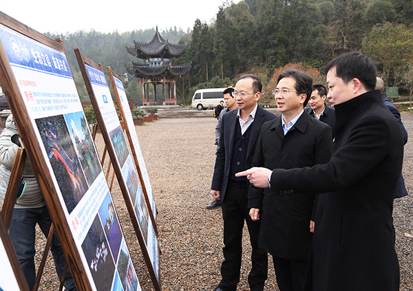 要闻温州市委书记周江勇调研泰顺全域旅游