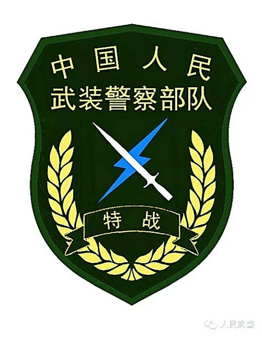 中国特种部队标志图片图片