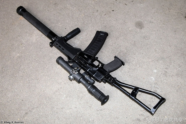SR-50步枪图片