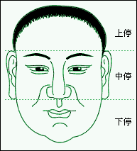 比較重要的面相分析工具很多,其中最重要的有五官,三停與十二宮