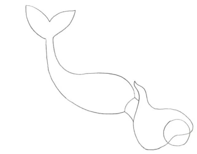 鱼尾的画法简笔画图片