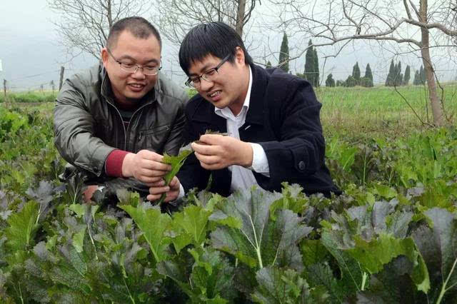 郭 斯 统 80后郭斯统是个十足的"农业达人,大学毕业后已扎根农村十个