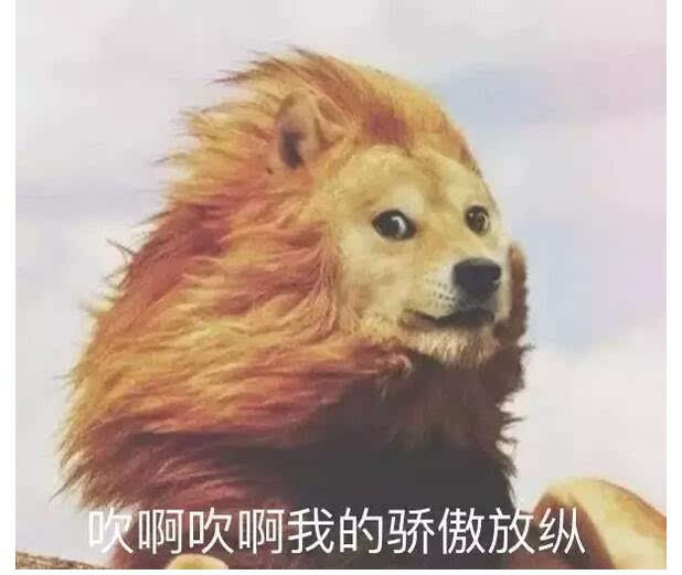 你是风儿我是沙搞笑图片