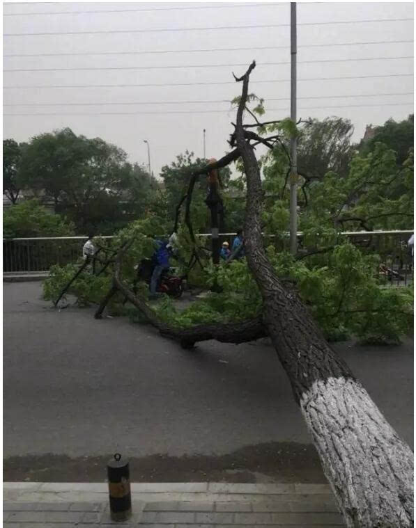 今天北京大風 刷爆朋友圈-搞笑頻道-手機搜狐