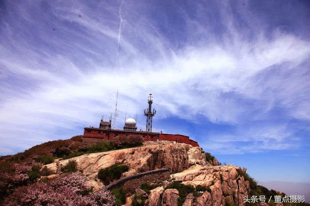 杨朔泰山极顶图片