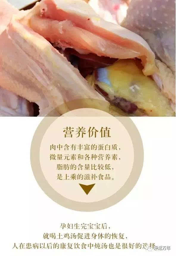 咸野鸡肉图片图片