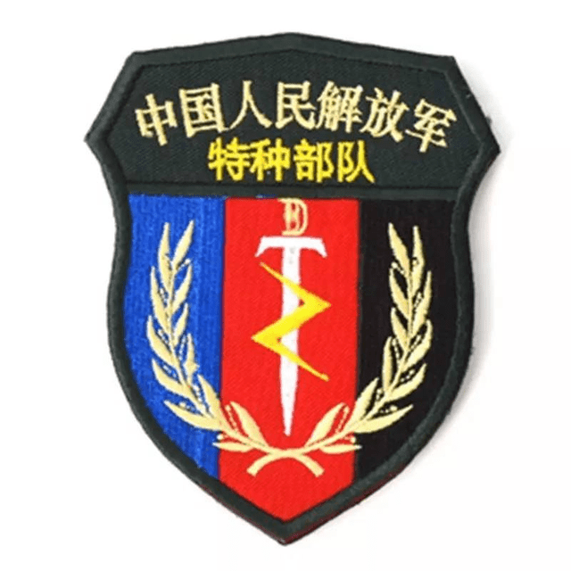 解放军特种部队臂章图片
