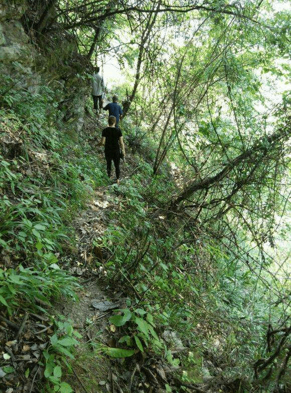 山路崎岖 古树参天 回到故乡 山溪冷水钓小鱼