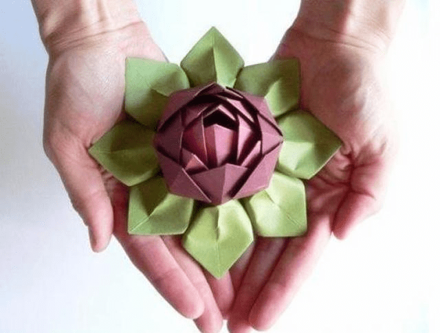 你知道吗,折纸荷花的方法还能用来折玫瑰花