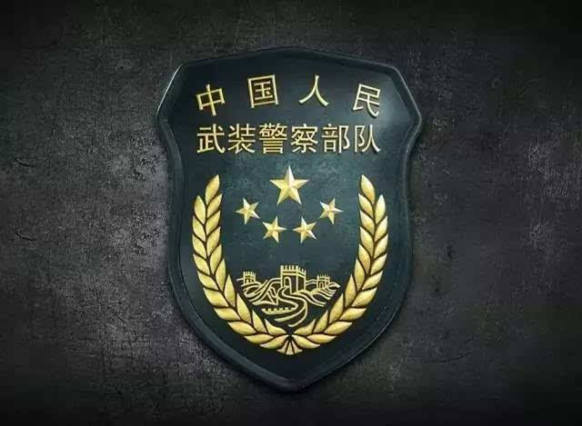 中国图标武警图片