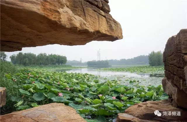 单县湿地公园图片
