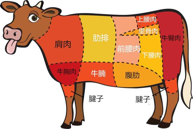 各類肉適合燒烤的部位—— 牛肉 裡脊肉,肋排,腰肉,牛腩 圖中白勺字