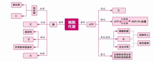 擴散 ⑧選擇透過性 ⑨生物膜系統 ⑩核糖體 提示: ①半透膜 ②細胞膜