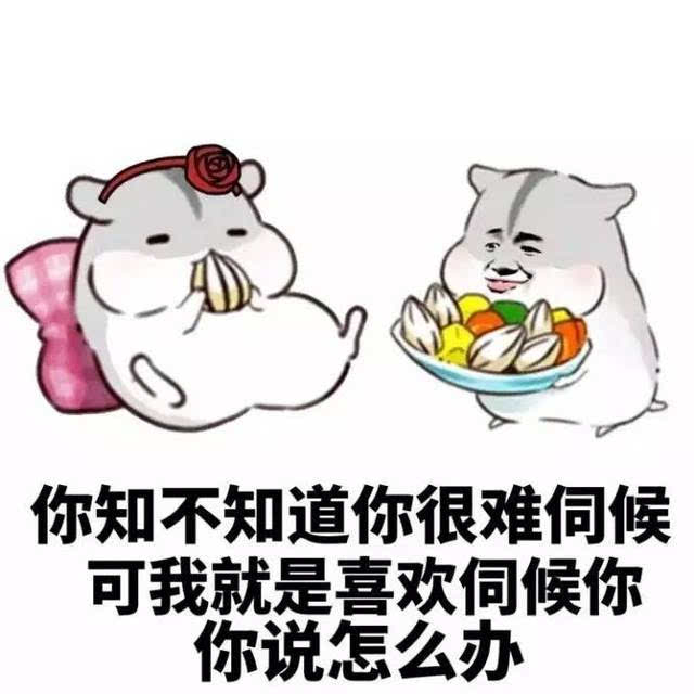 一组哄人表情包图片