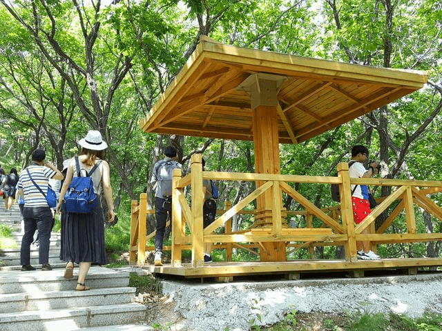 來長春過不一樣的夏天,登蓮花山吸氧洗肺!